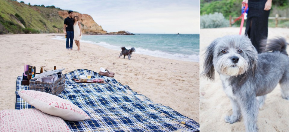 Engagement photos with dog on the beach in Melbourne