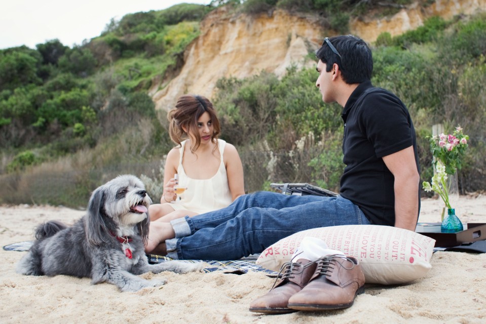 Melbourne picnic engagement photos with dog